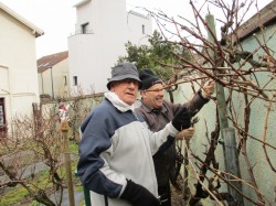 FEVRIER 2019  (pendant)